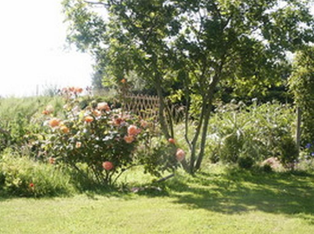 B&B Kerlilou Plouguiel Extérieur photo